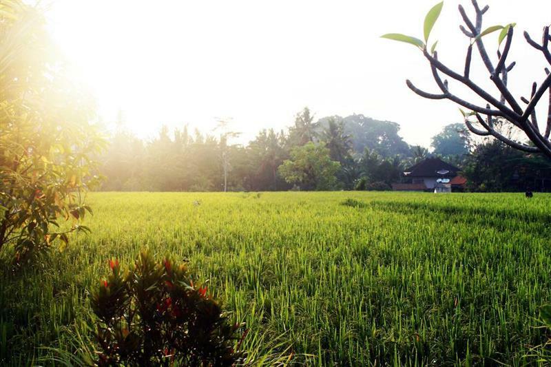 Bening Bungalow Ubud  Exterior photo